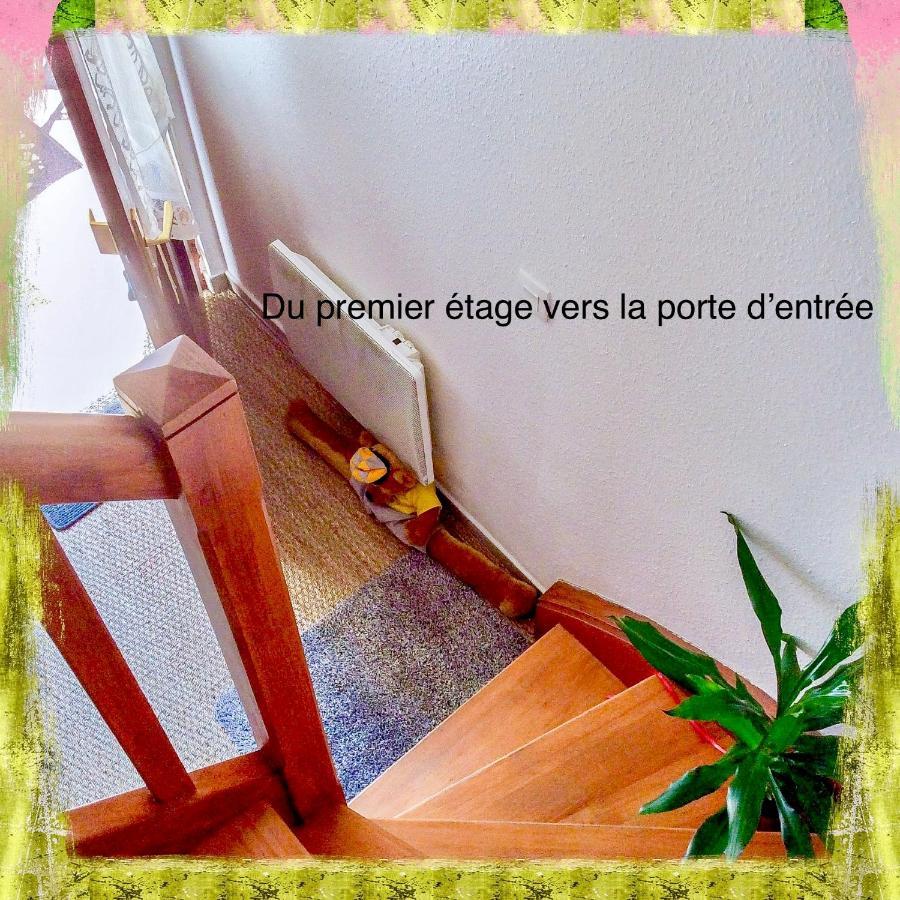 שילטיגהיים Residence Des Lentilles מראה חיצוני תמונה